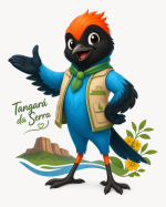 Hospedagens em Tangará da Serra/MT